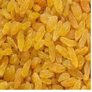 KISMIS YELLOW