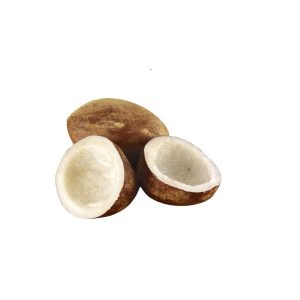 COCONUT KHOPRA
