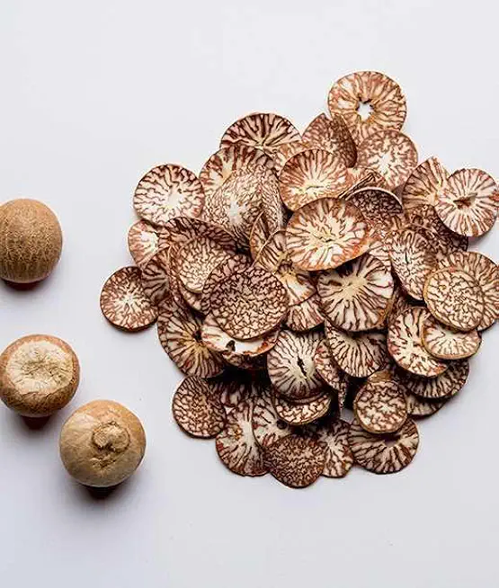 51fC1Ad2AgL._AC_UL654_FMwebp_QL65_